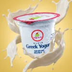 Plain Greek Yogurt