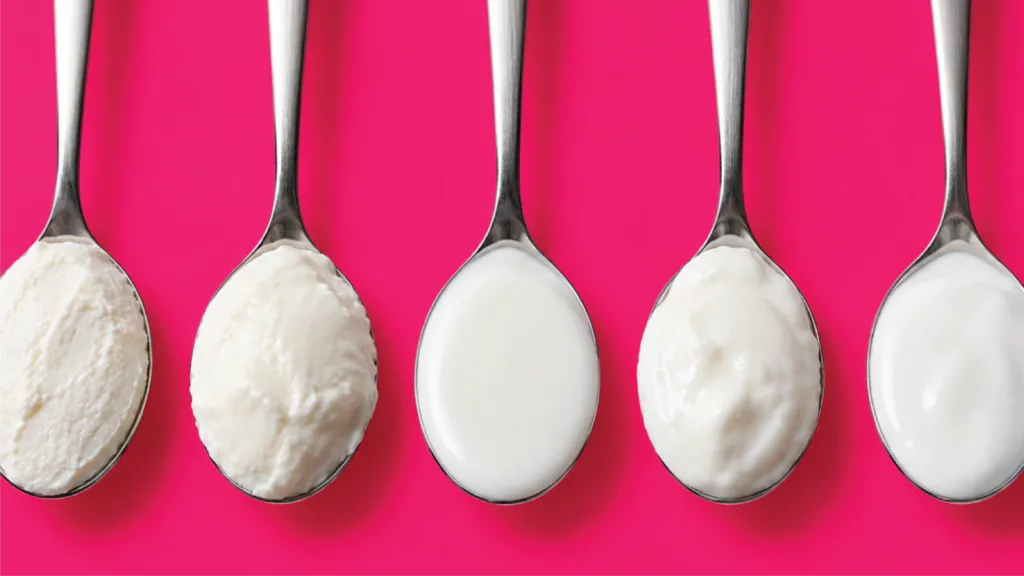 Greek Yogurt vs Regular Yogurt: A Clear Guide to Yogurt Types Around the World