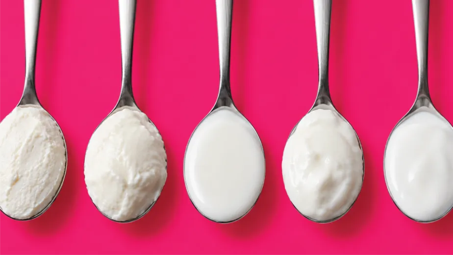 Greek Yogurt vs Regular Yogurt: A Clear Guide to Yogurt Types Around the World